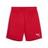 Bilde av Puma Teamgoal Shorts Rød Barn